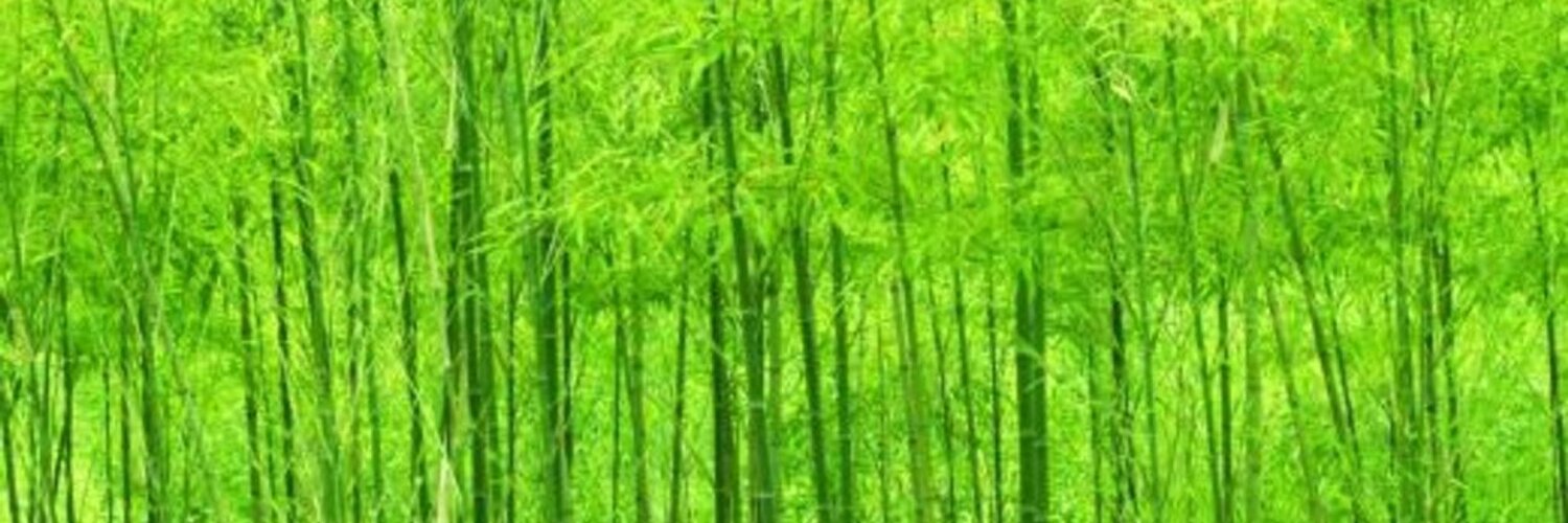 令和八年春爛漫